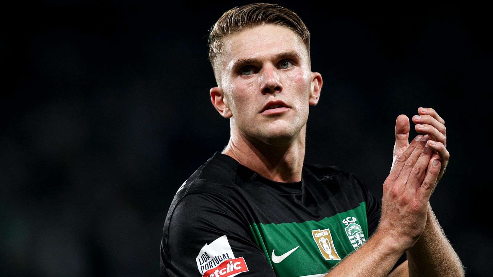 仅展现了年 仅展现了年